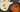 Tech Talk - Guitar Bridge Types